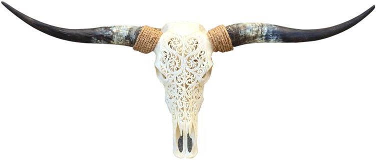 Vtw Living Skull Decoratie Longhoorn Gegraveerd Echt