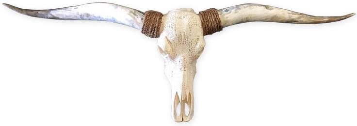 Vtw Living Skull Decoratie Longhoorn Gegraveerd Echt 150 cm