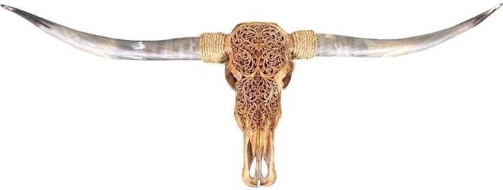 Vtw Living Skull Decoratie Longhoorn Skull Dierenhoofd Dierenschedel