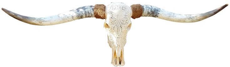 Vtw Living Skull Decoratie Longhoorn Skull Dierenschedel