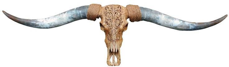 Vtw Living Skull Decoratie Longhoorn Skull Dierenschedel