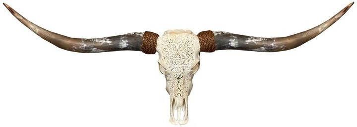 Vtw Living Skull Decoratie Longhoorn Skull Longhorn Schedel