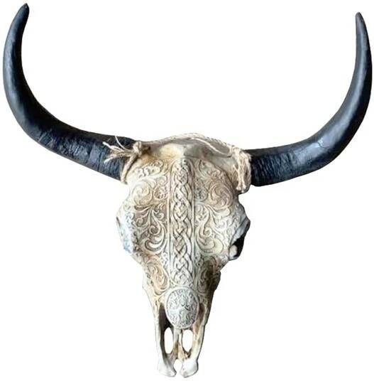 Vtw Living Skull Decoratie Skull voor aan de muur Buffelschedel 40 cm