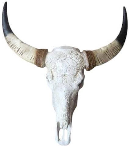 Vtw Living Skull Decoratie Skull Wit Dierenschedel Dierenhoofd Skull