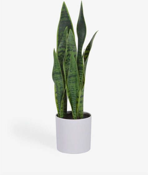 Kave Home Kunstmatige Sansevieria met witte plantenpot 55 cm