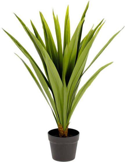 Kave Home Woon Accessoires Yucca Kunstplant yucca 80 cm