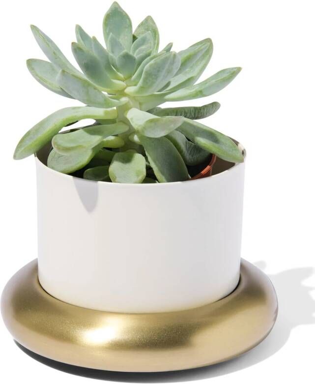 HEMA Bloempot Ø10x6.5cm Metaal Met Schotel Wit-goud (wit)