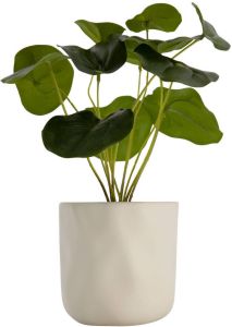 HEMA Bloempot Ø11.5x11.5 Keramiek Wit (wit)