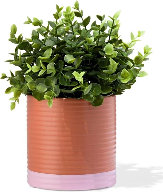 HEMA Bloempot Ø12x14cm Keramiek Ribbel Terra (terra)