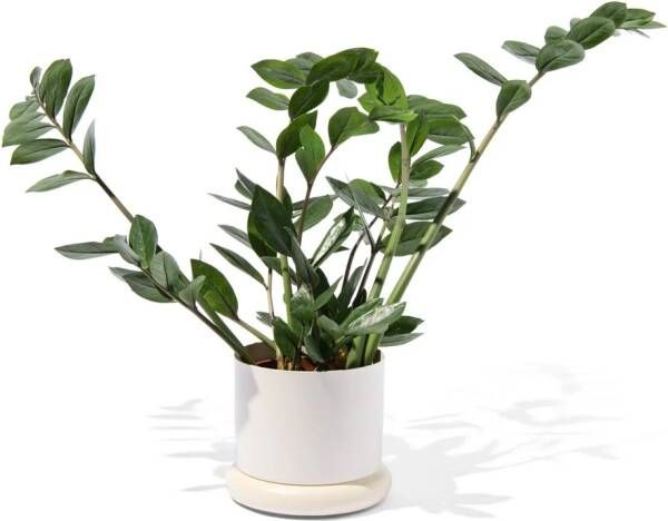 HEMA Bloempot Ø15.5x12cm Metaal Wit (wit) - Foto 1