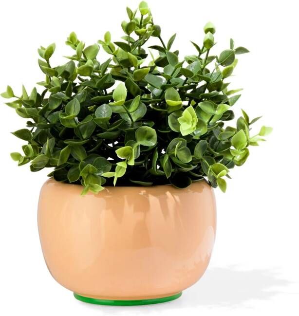 HEMA Bloempot 15x10x10cm Keramiek Perzik (perzik)