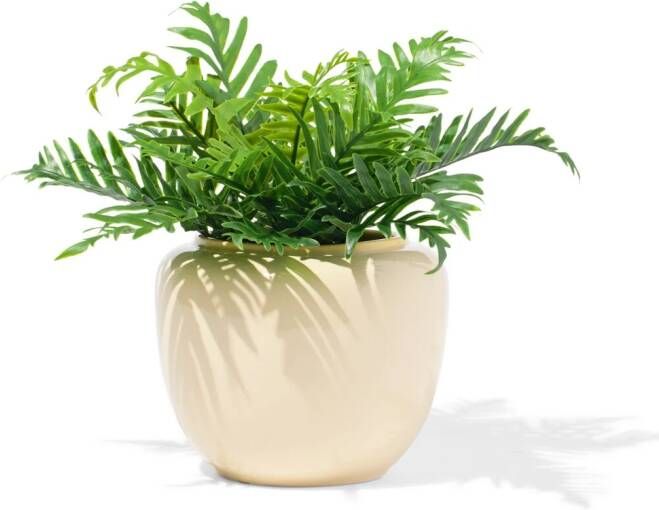 HEMA Bloempot 15x10x13cm Keramiek Crème (creme)