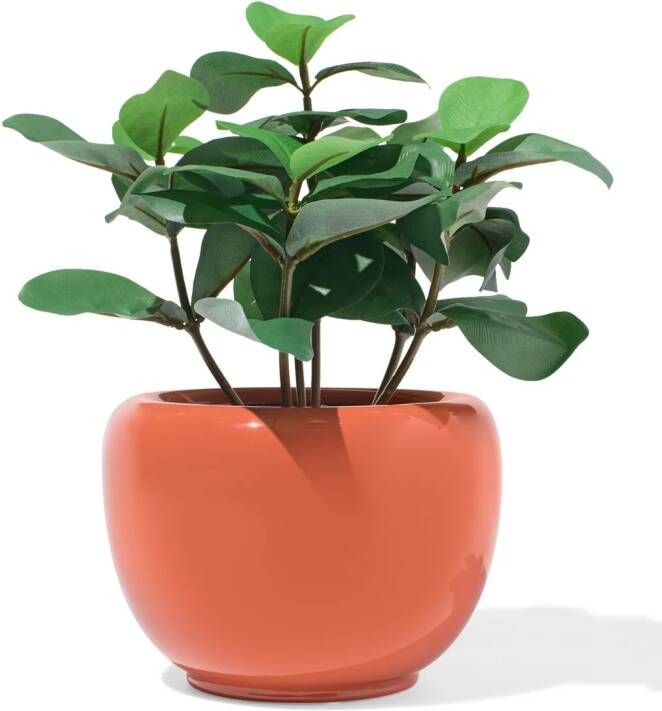 HEMA Bloempot 20x12.7x14cm Keramiek Terra (terra)