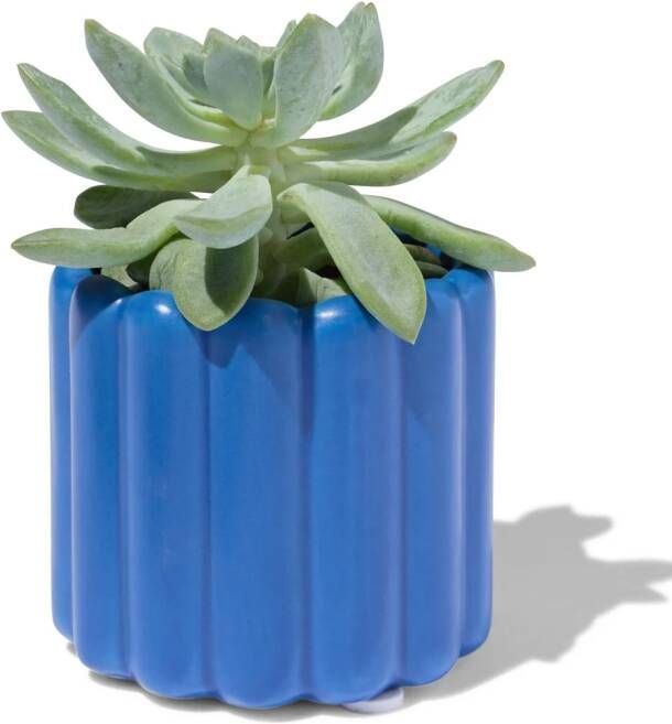 HEMA Bloempot Ø6.5x7cm Keramiek Ribbel Blauw (kobaltblauw)