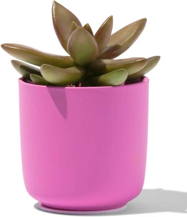 HEMA Bloempot Ø6x6.5 Aardewerk Roze (roze)