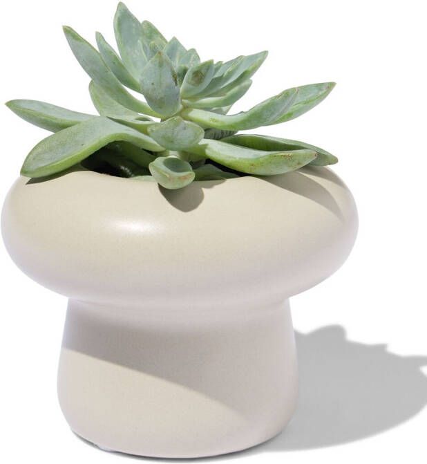 HEMA Bloempot Ø6x7cm Keramiek Paddenstoel Wit (naturel)