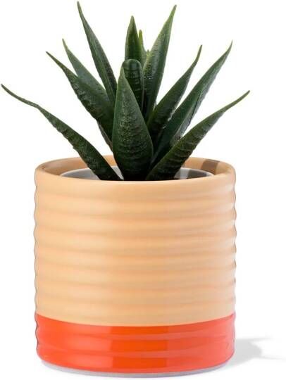 HEMA Bloempot 7.1x7x9.9cm Keramiek Ribbel Perzik (perzik)