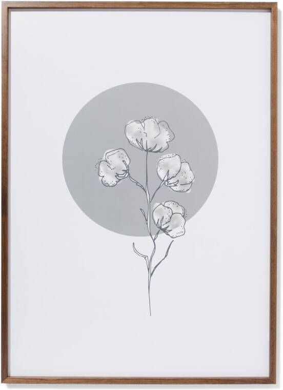 HEMA Fotolijst 50x70cm Notenkleur Massief Hout (hout)