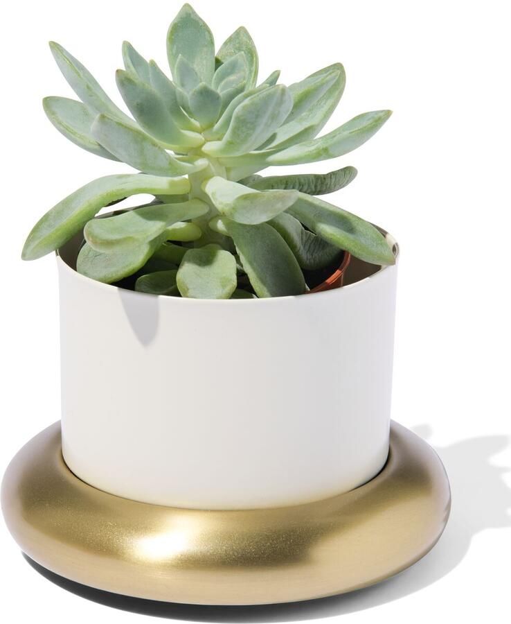 HEMA Bloempot Ø10x6.5cm Metaal Met Schotel Wit-goud (wit)