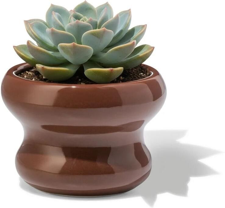 HEMA Bloempot ⌀13x9cm Keramiek Blob Bruin (donkerbruin)