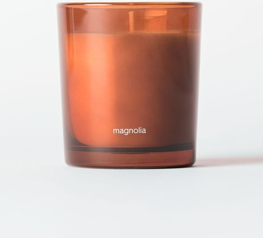 HEMA Geurkaars ⌀7x8cm Glas Magnolia (bruin)