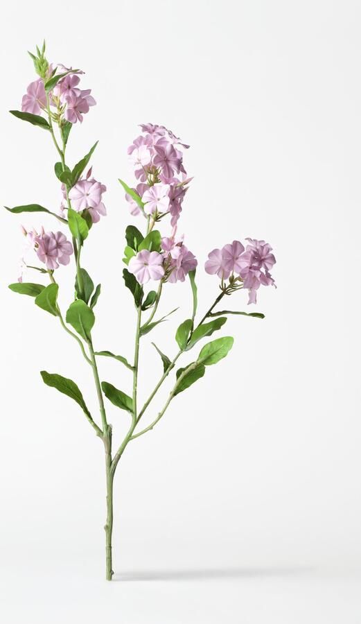 HEMA Kunstbloem 55cm Viburnum Roze (roze)