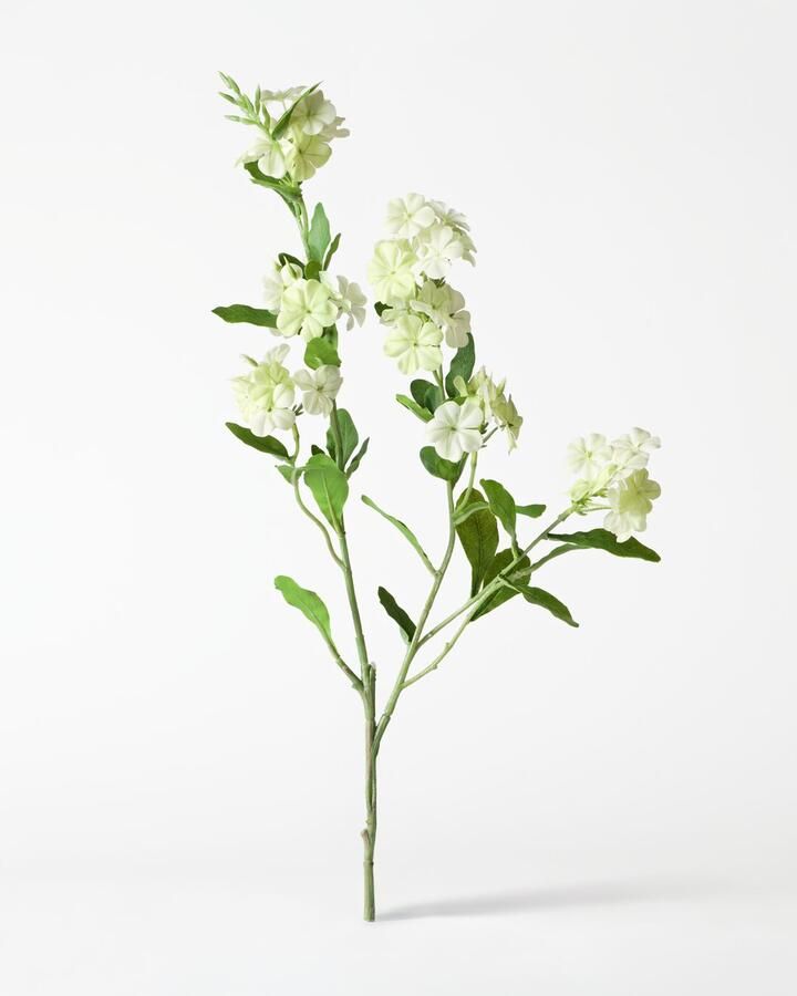 HEMA Kunstbloem 55cm Viburnum Wit (wit)