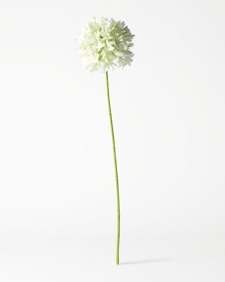 HEMA Kunstbloem Allium 55cm Wit (wit)