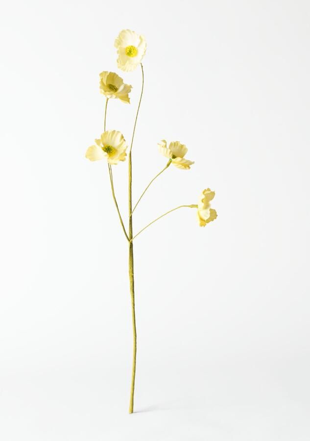 HEMA Kunstbloem Boterbloem 55cm Lichtgeel (lichtgeel)