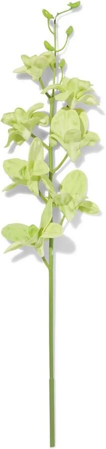 HEMA Kunstbloem Dendrobium 55cm Rubber Groen (groen)