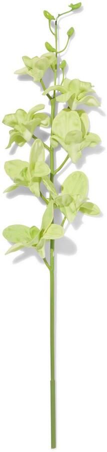 HEMA Kunstbloem Dendrobium 55cm Rubber Groen (groen)