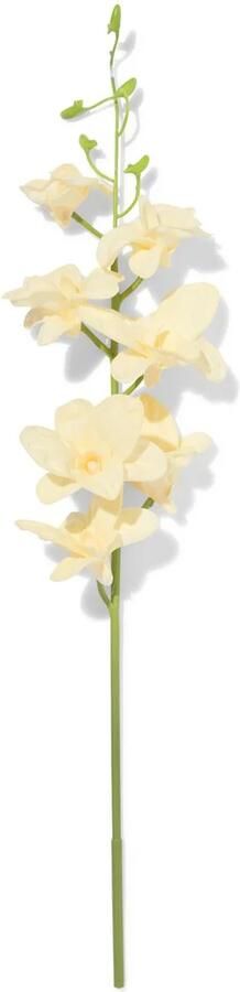 HEMA Kunstbloem Dendrobium 55cm Rubber Wit (wit)