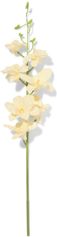 HEMA Kunstbloem Dendrobium 55cm Rubber Wit (wit)