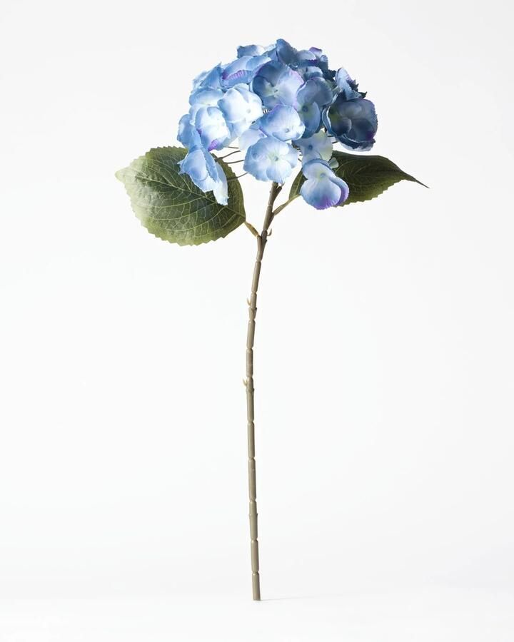 HEMA Kunstbloem Hortensia 55cm Blauw (blauw)