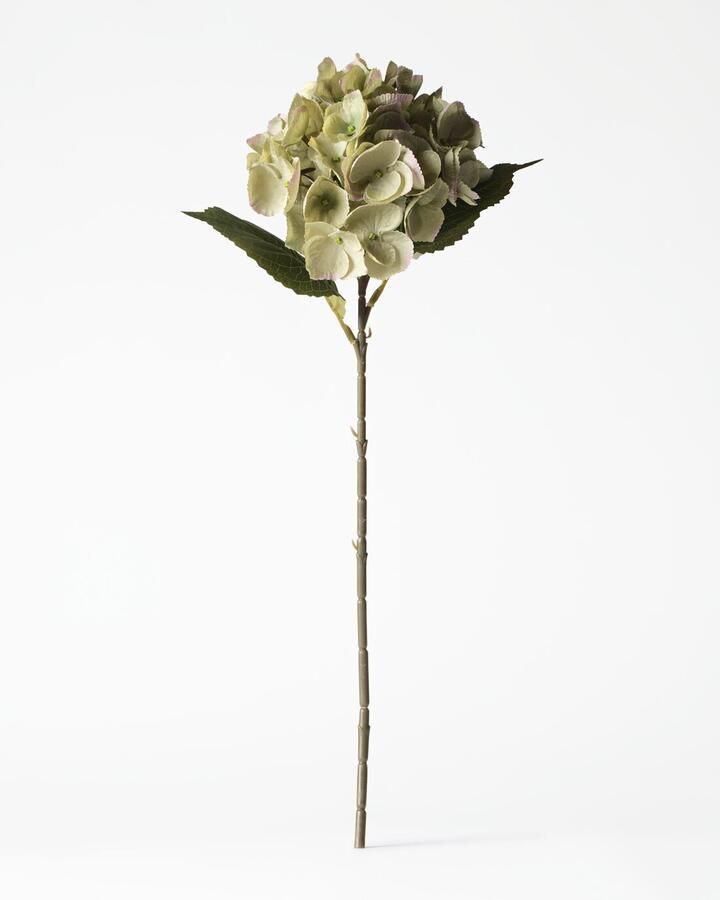 HEMA Kunstbloem Hortensia 55cm Groen (groen)
