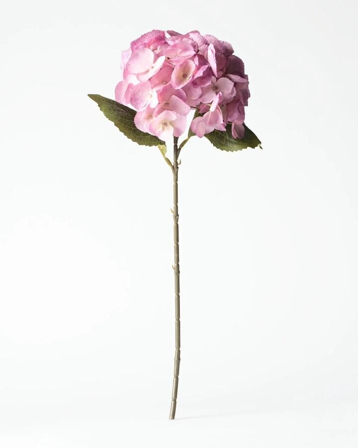HEMA Kunstbloem Hortensia 55cm Roze (roze)