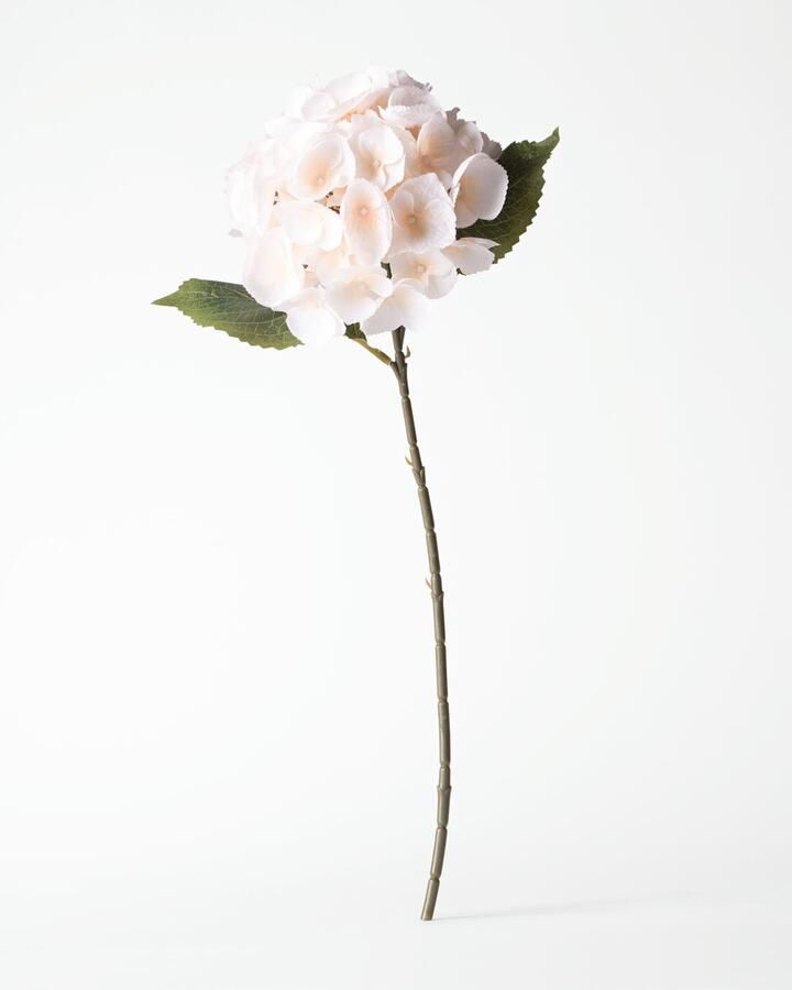 HEMA Kunstbloem Hortensia 55cm Wit (wit)