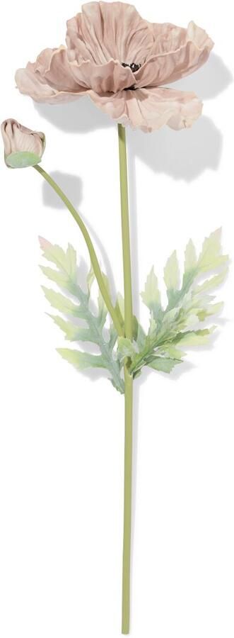 HEMA Kunstbloem Klaproos 55cm Rubber Oudpaars (paars)