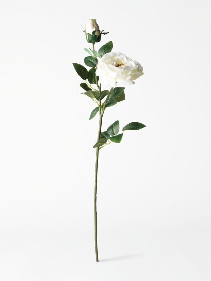 HEMA Kunstbloem Roos 55cm Wit (wit)