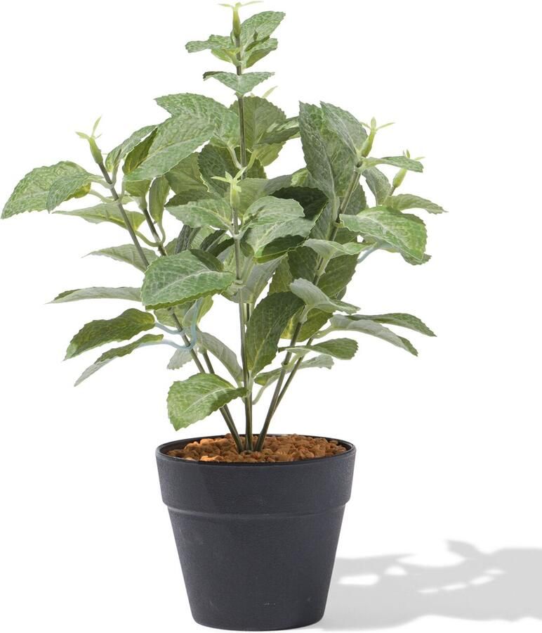 HEMA Kunstplant ⌀10x10cm Rechtop (groen)