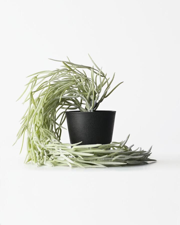 HEMA Kunstplant Hangplant 55cm (groen)