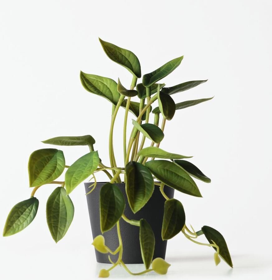 HEMA Kunstplant Philodendron 55cm (groen)