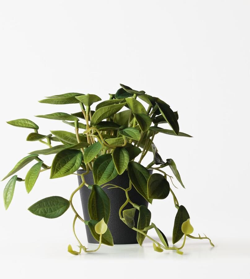 HEMA Kunstplant Philodendron 55cm (groen)