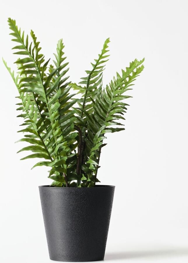 HEMA Kunstplant Varen 55cm (groen)