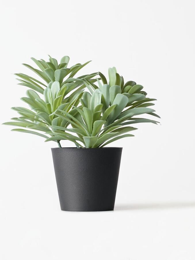 HEMA Kunstplant Vetplant 55cm (groen)