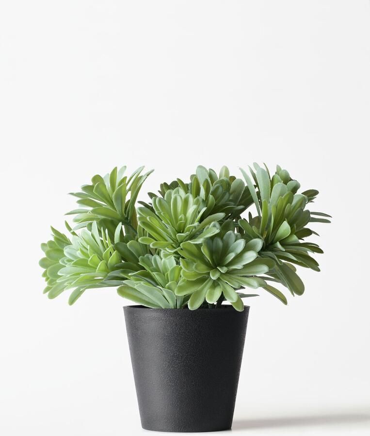 HEMA Kunstplant Vetplant 55cm (groen)