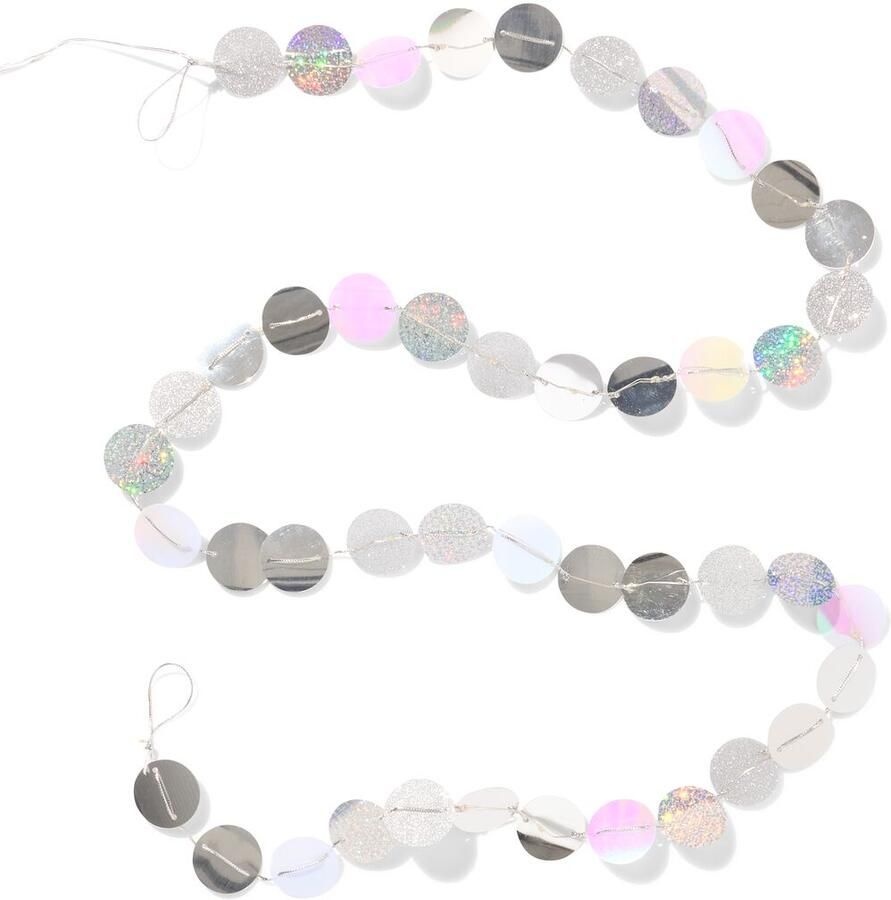 HEMA Lichtsnoer 2.4m Met 40 Lampjes Voor Binnen (zilver)