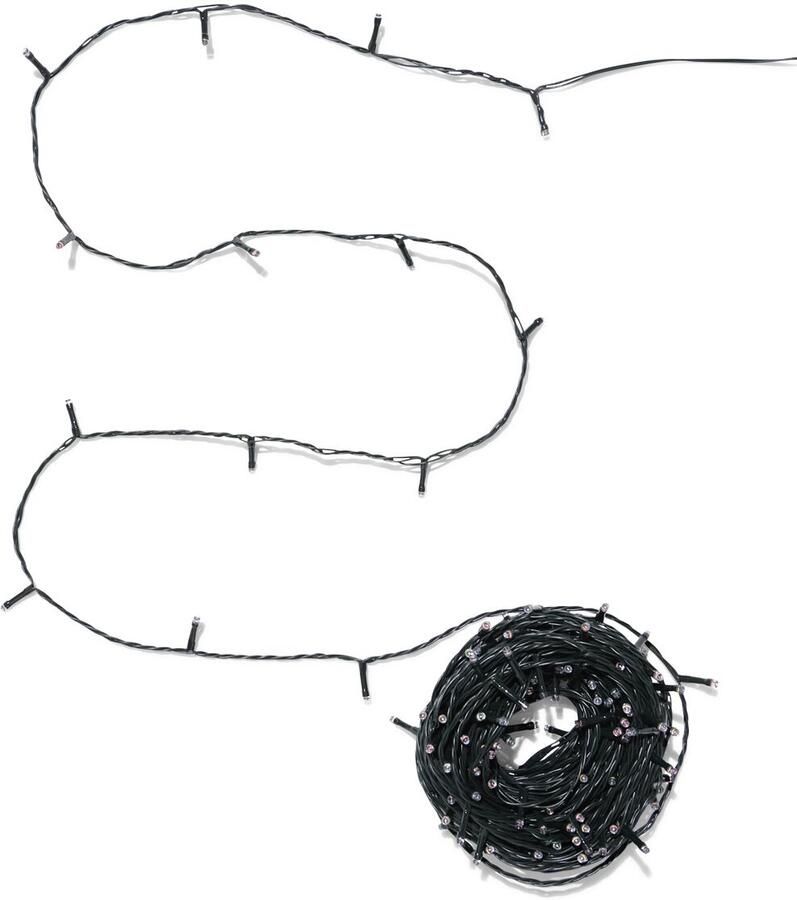 HEMA Lichtsnoer 8m Met 200 Ledlampjes Voor Binnen En Buiten