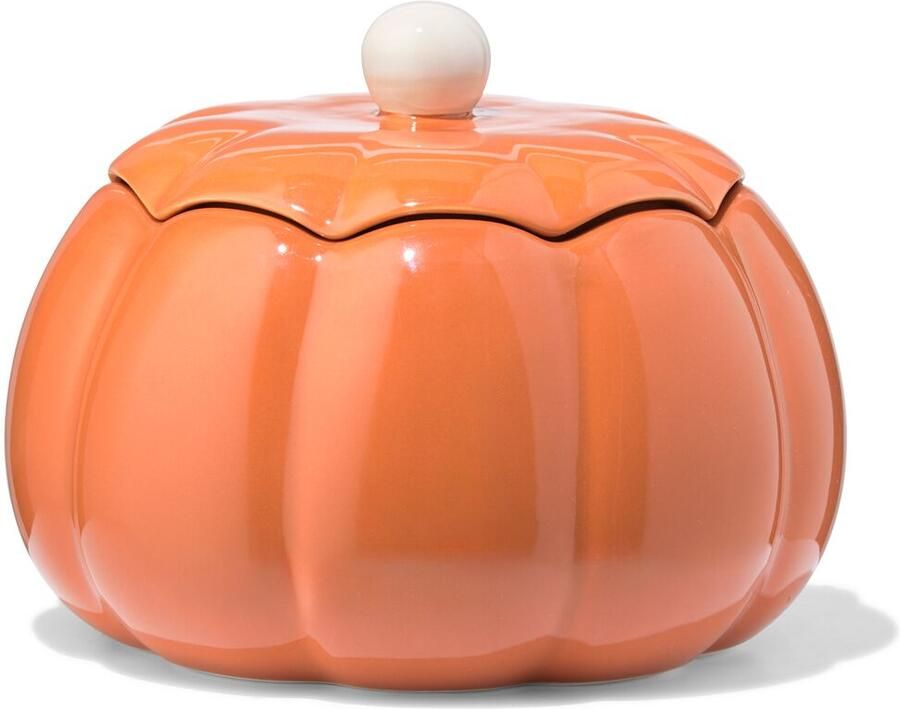 HEMA Pot 20x20x15cm Keramiek Pompoen
