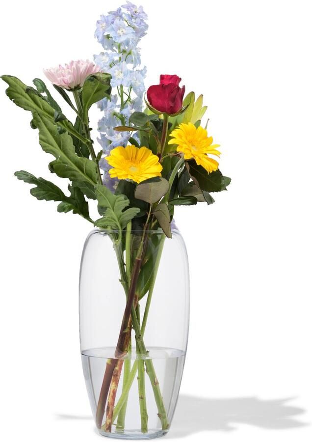 HEMA Vaas 29cm Glas (transparant)